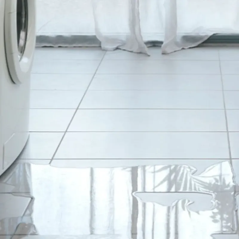 Appliance Leak Cleanup in New Roads, LA