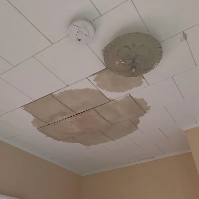 Ceiling Water Damage Repair in New Roads, LA