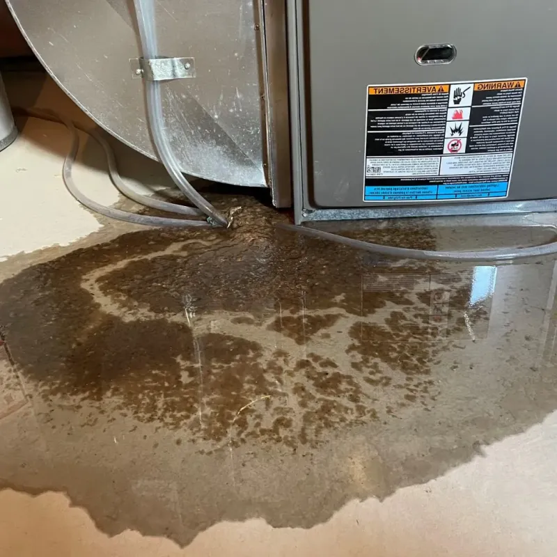Pipe Burst and Leak Restoration in New Roads, LA