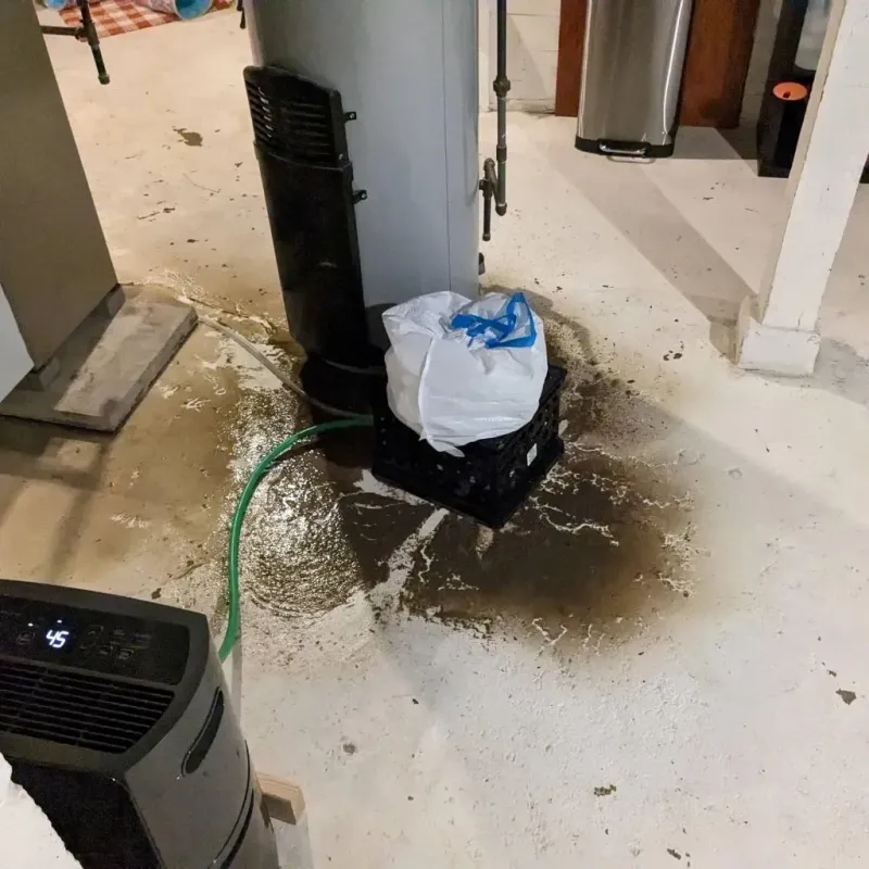 Sewage Backup Cleanup Service in New Roads, LA
